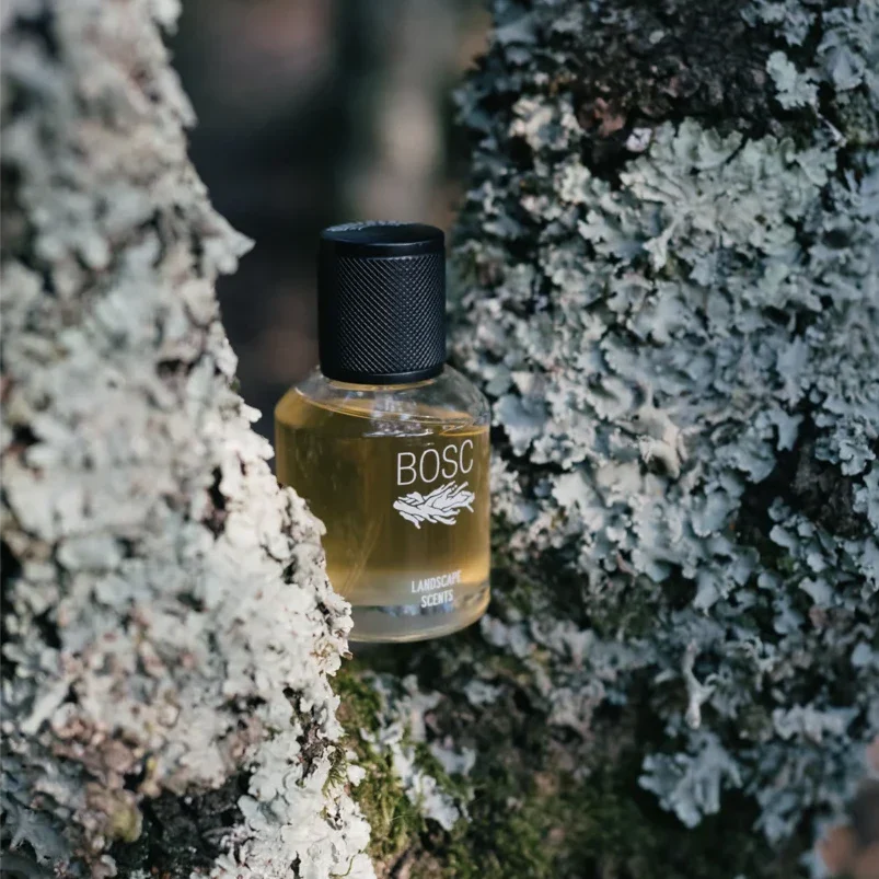 Bosc - Image 3