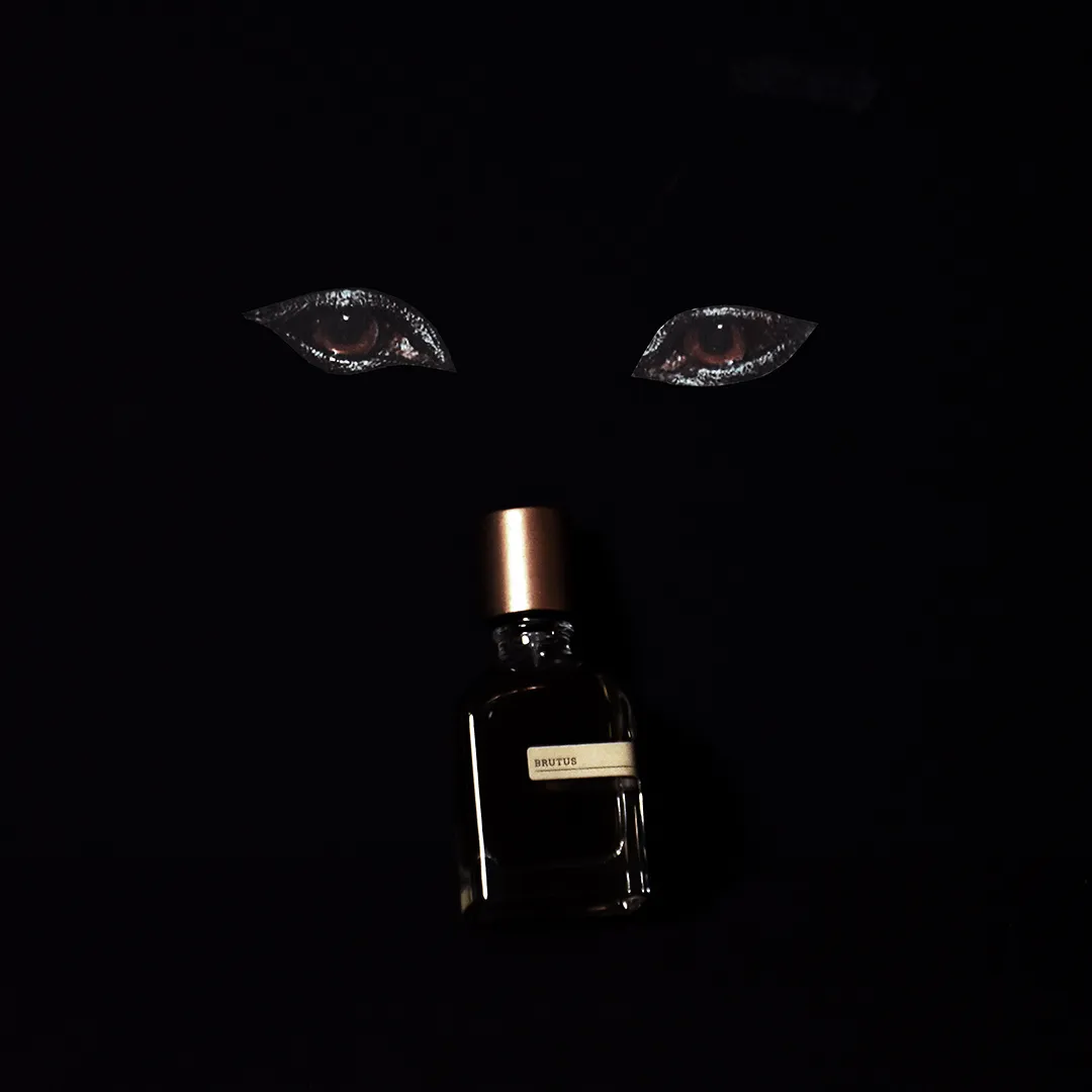 Brutus - Image 4