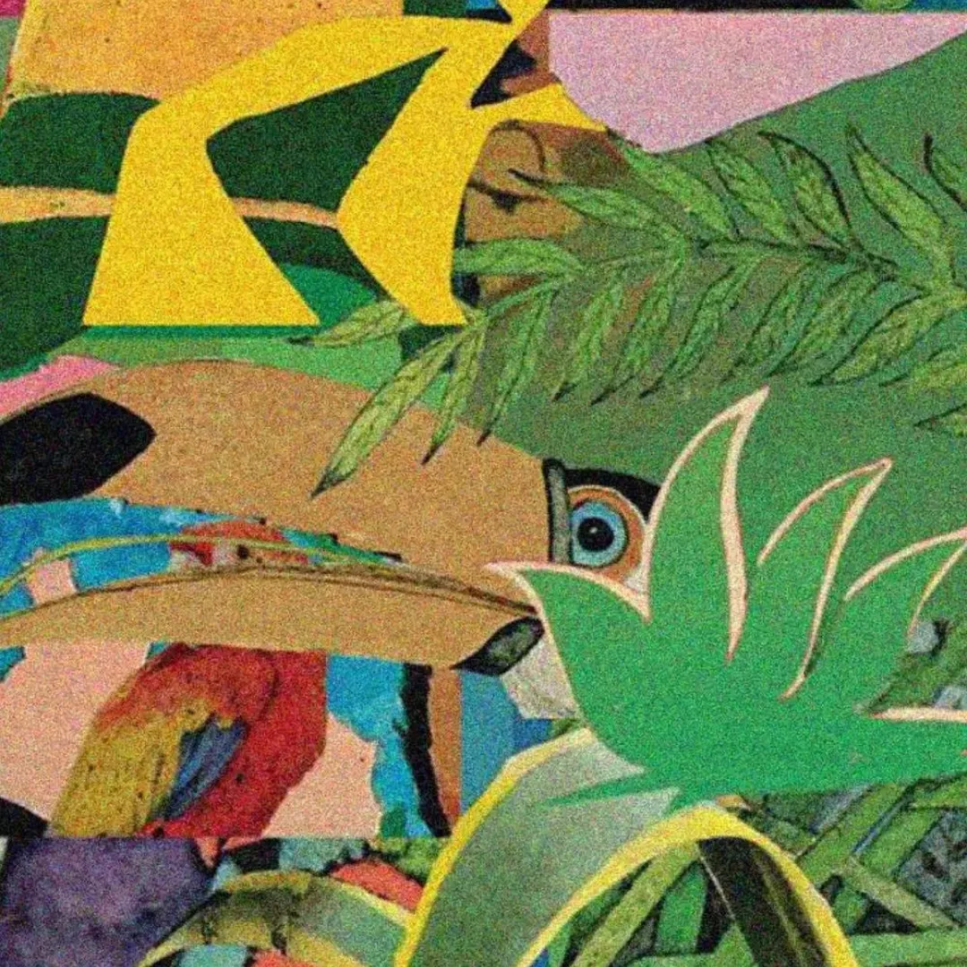 Jazmín Yucatan - Image 3