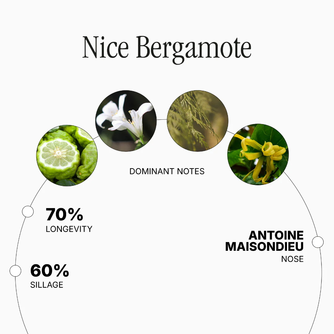 Nice Bergamote by Antoine Maisondieu - Image 2