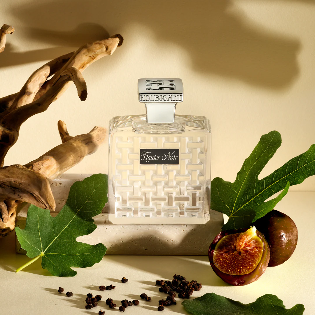 Figuier Noir - Image 4