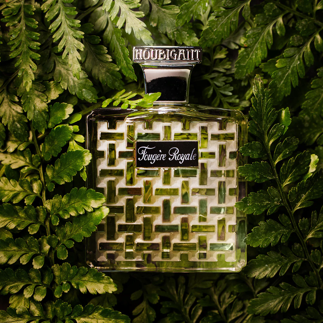 Fougère Royale - Image 4