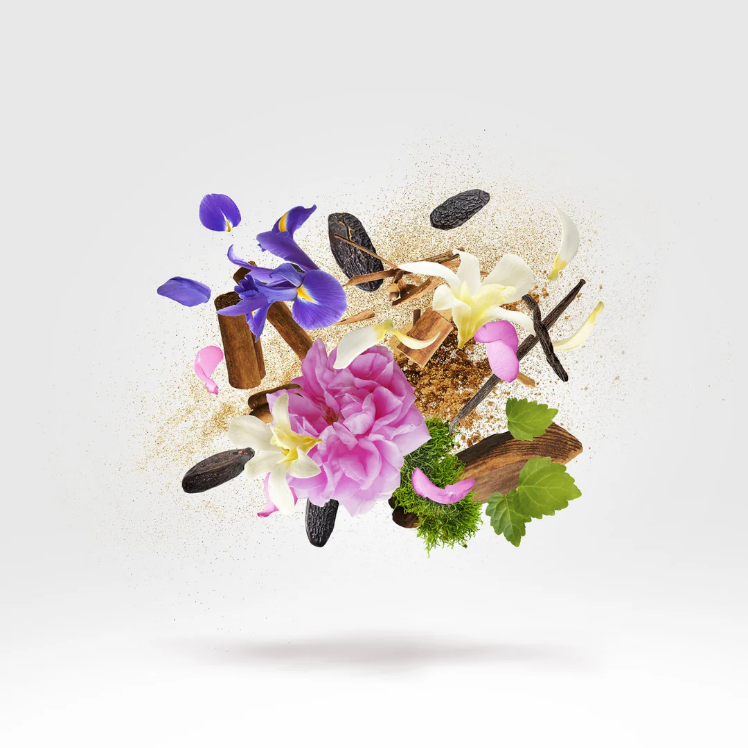 Gibeon - Image 3