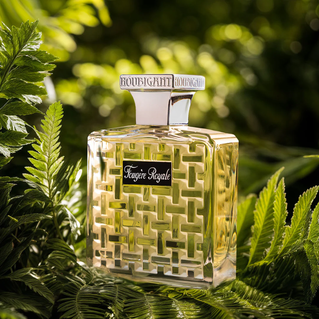 Fougère Royale - Image 2