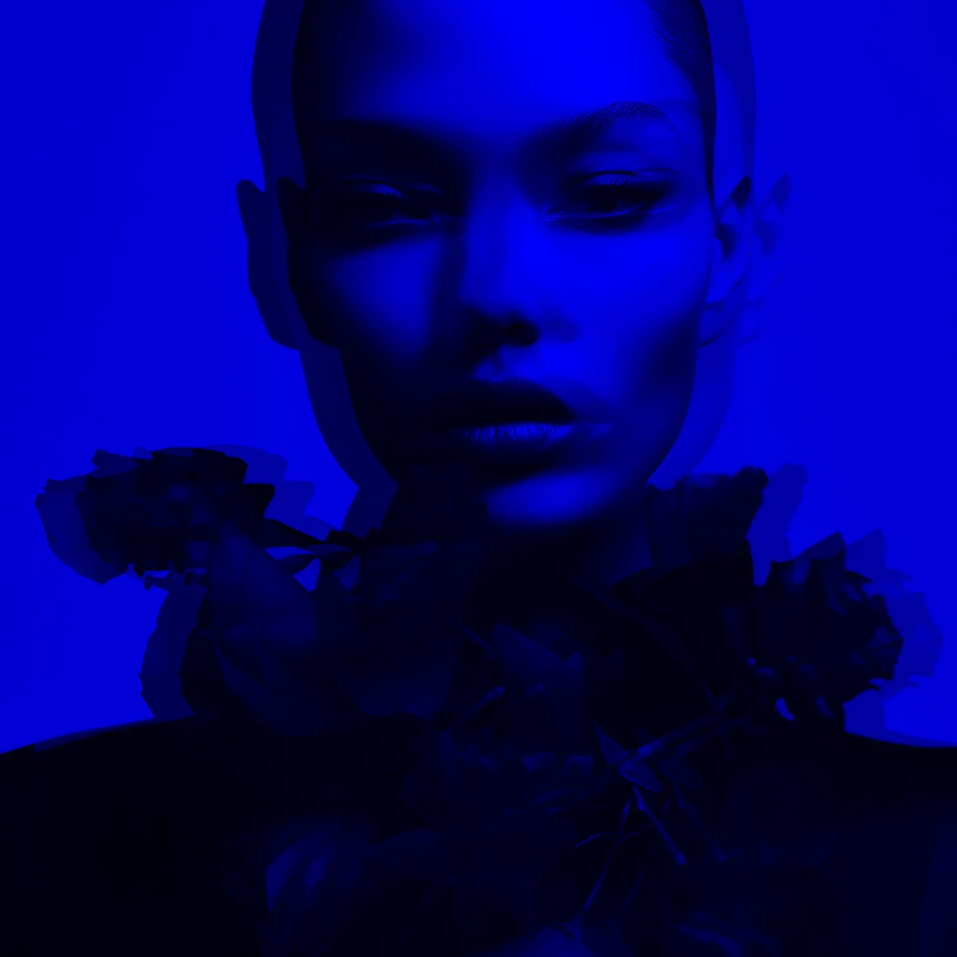 Rainbow Rose - Image 3