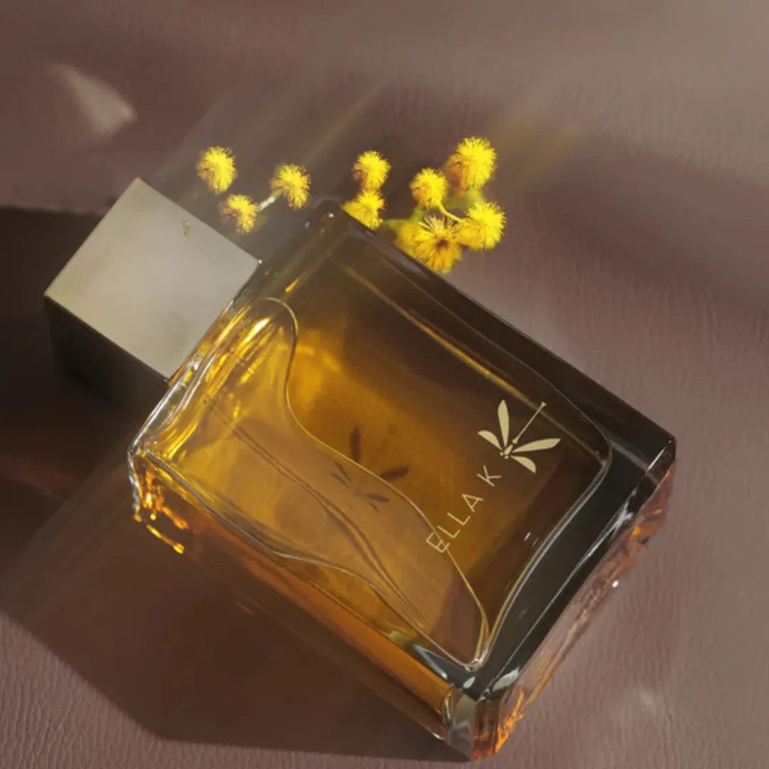 Reflet Sur L'Okavengo - Image 2