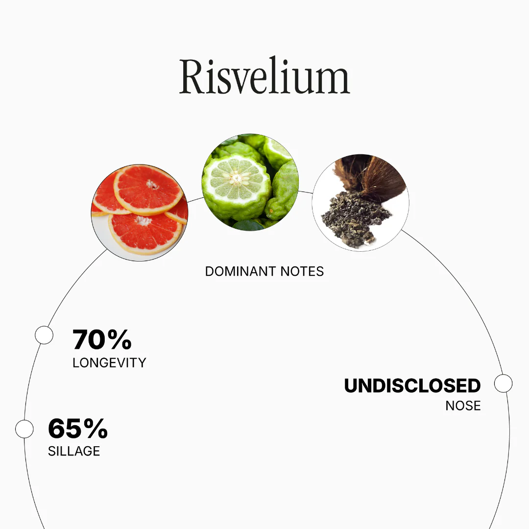 Risvelium - Image 2