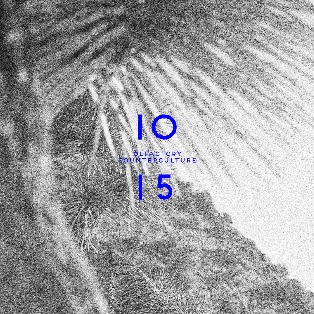 Wavechild - Image 3