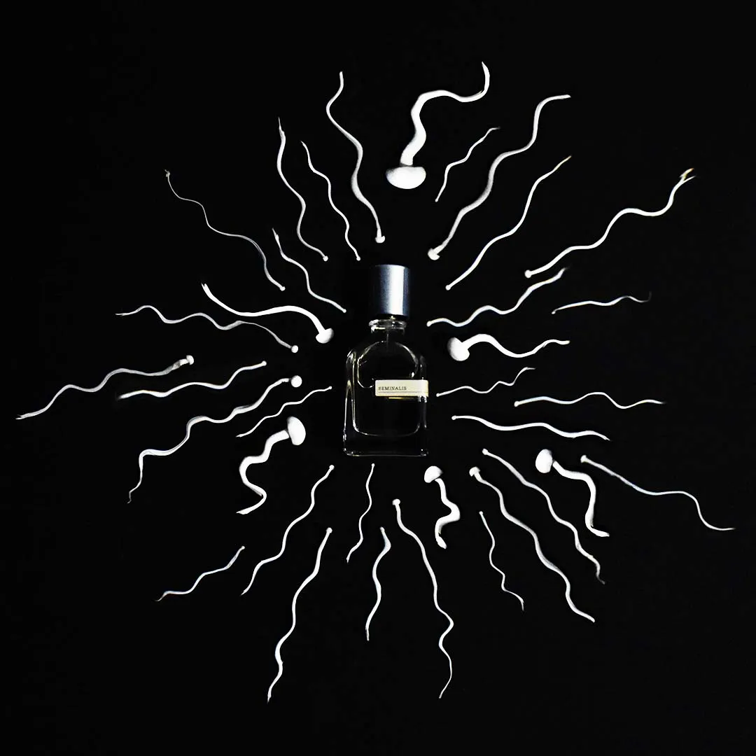Seminalis - Image 4
