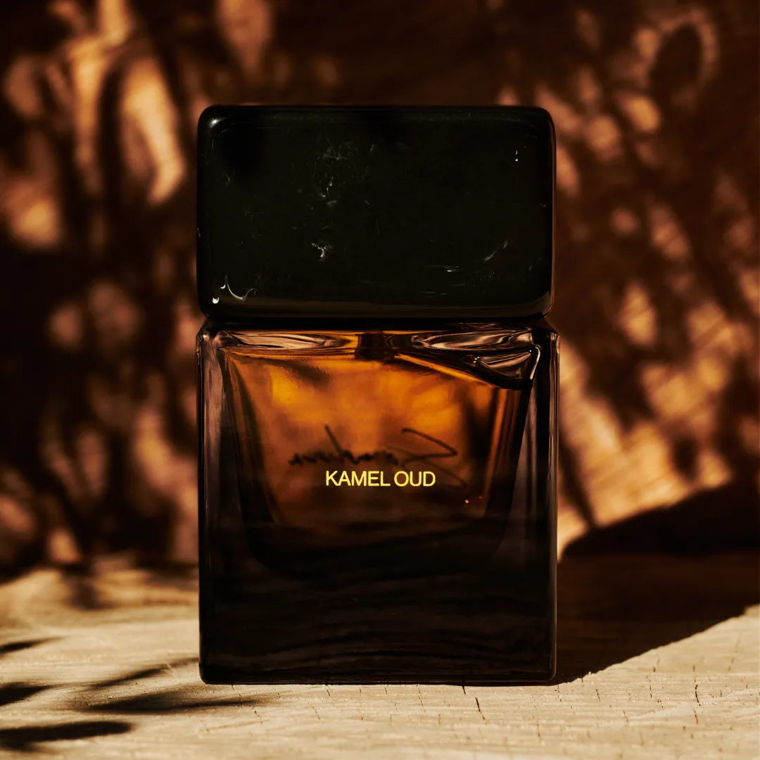 Kamel Oud - Image 4