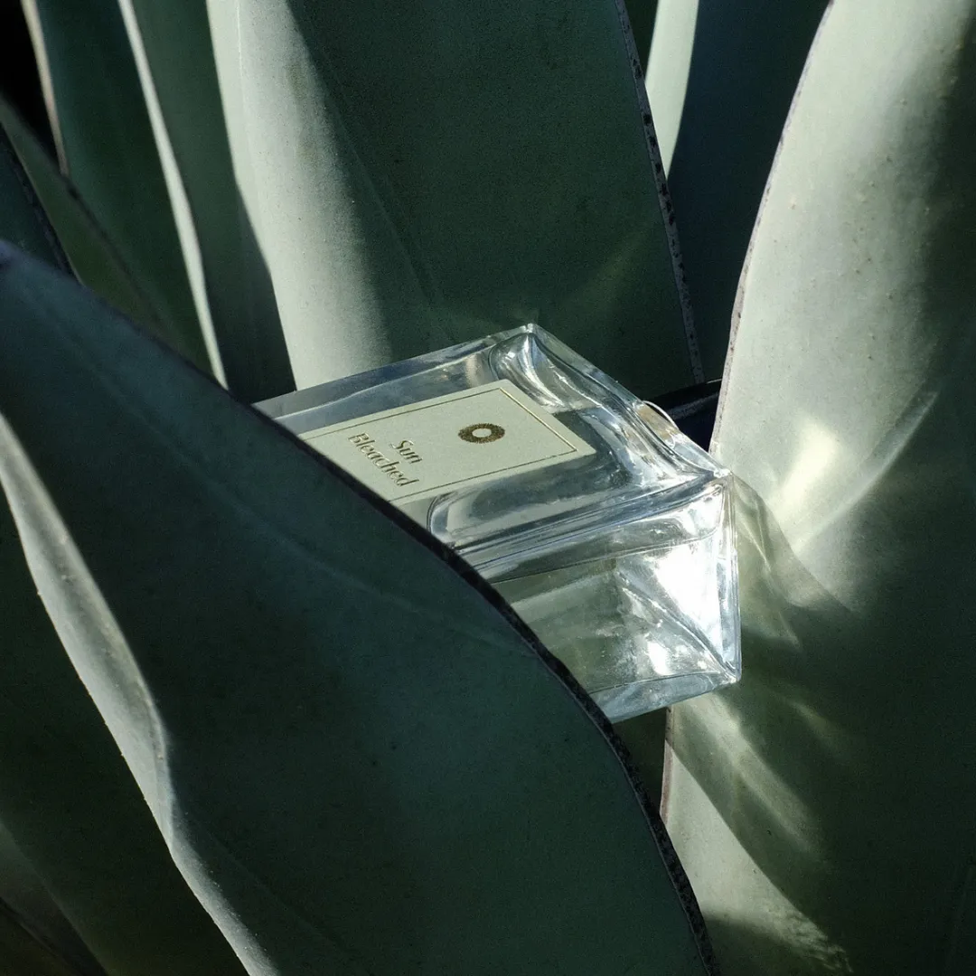 Sun Bleached - Image 4