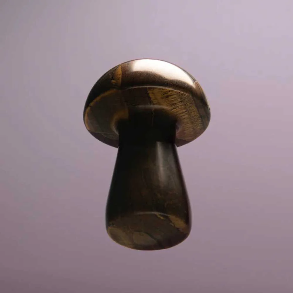 The Gua-Shroom - Image 4