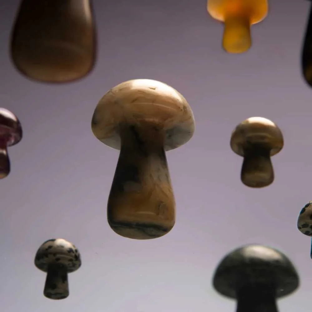 The Gua-Shroom - Image 5