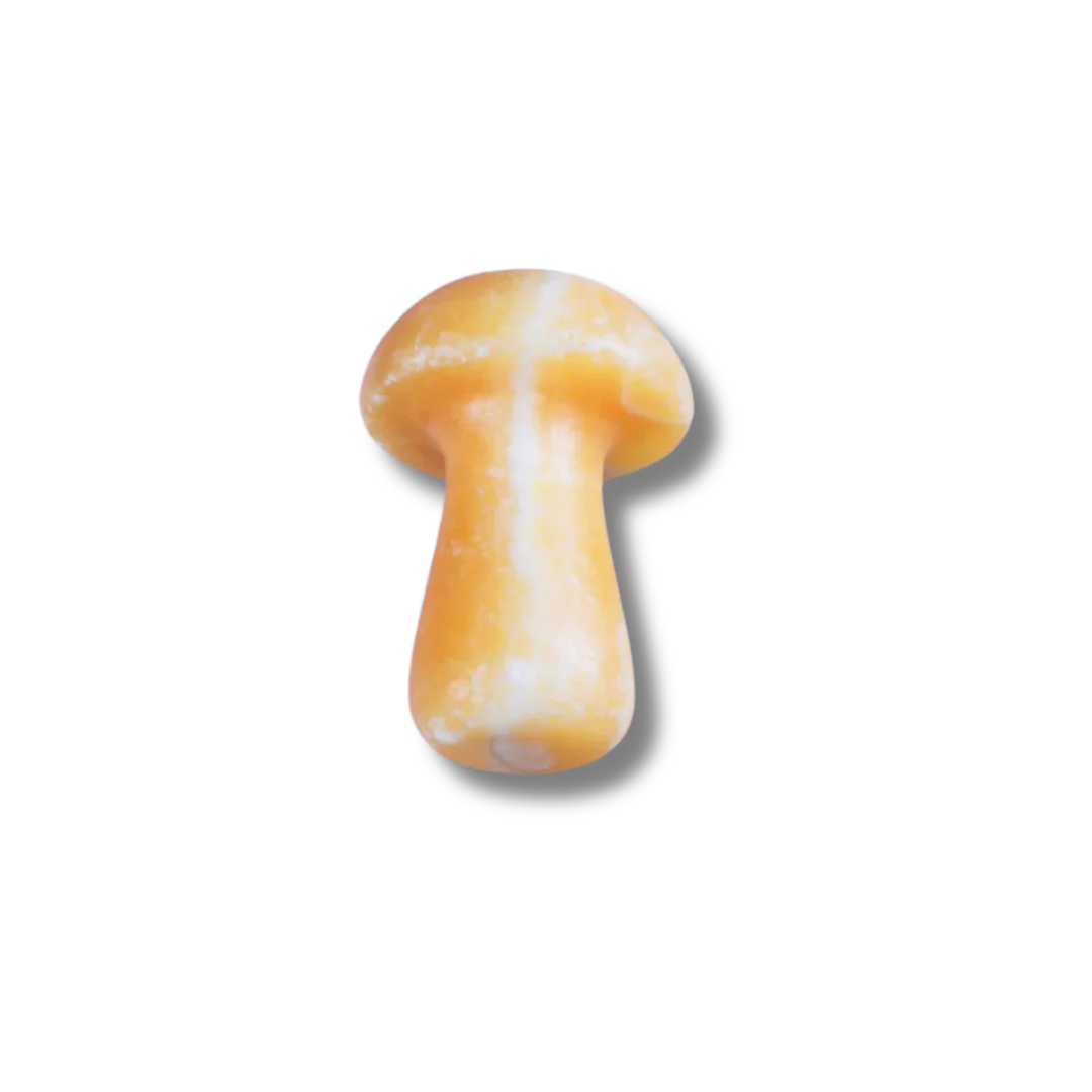 The Gua-Shroom - Image 6