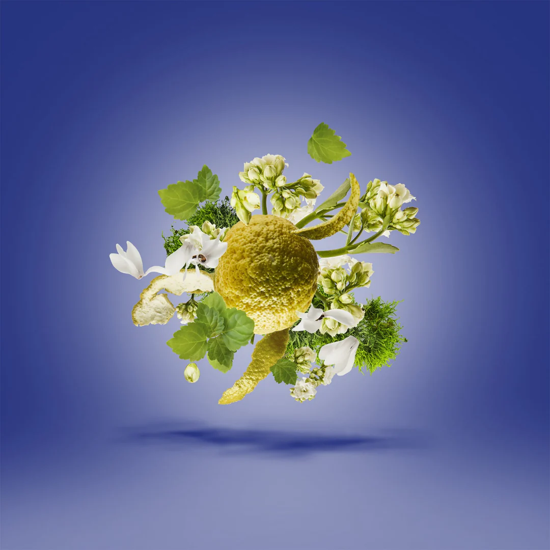 Torino 23 - Image 3